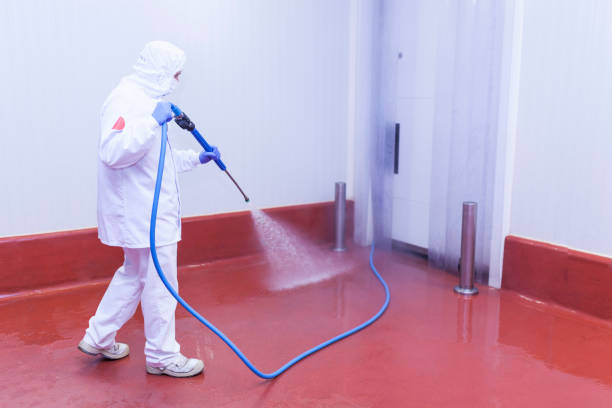 Best Sign and Awning Cleaning  in Westgate, FL